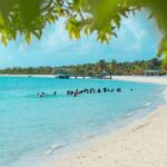 Private: Full-Day Catalina Reef & Beach Escape by Catamaran - The Practicalities: What You Need to Know