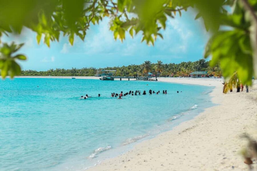 Private: Full-Day Catalina Reef & Beach Escape by Catamaran - The Practicalities: What You Need to Know