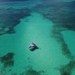 Private Full Day Charter to Saona Island from Punta Cana - What Travelers Love Most