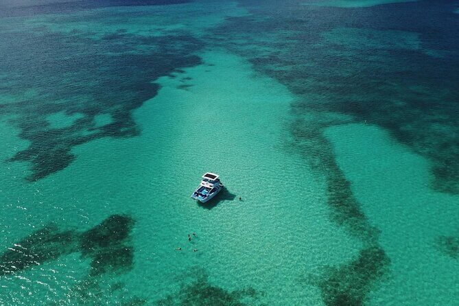 Private Full Day Charter to Saona Island from Punta Cana - What Travelers Love Most