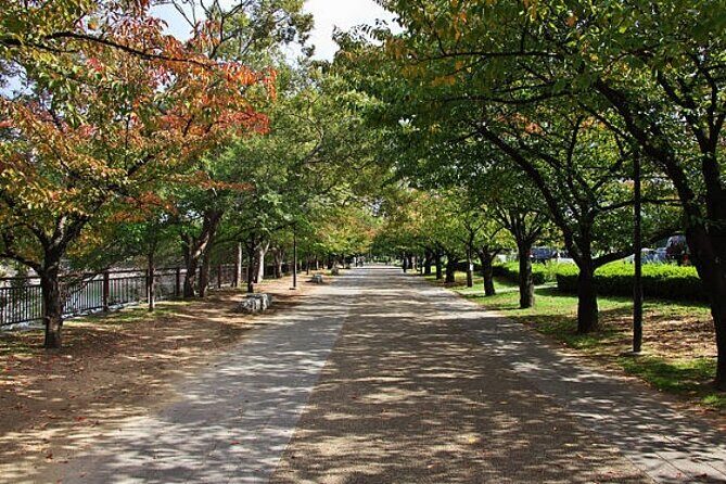 Private Full Day Himeji and Kobe Day Tour - Why This Tour Offers Great Value