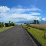 Private Full Day in Papeete and Tahiti Iti with Belveder Lookout - Authenticity and Review Insights