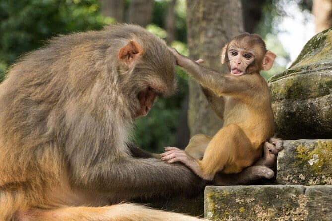 Private Full-Day Kathmandu All 7 UNESCO World Heritage Sites Tour - Detailed Breakdown of the Itinerary