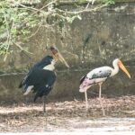 Private Full Day Mekong Delta Tour to Dong Thap Muoi Wetlands - Why This Tour Offers Great Value