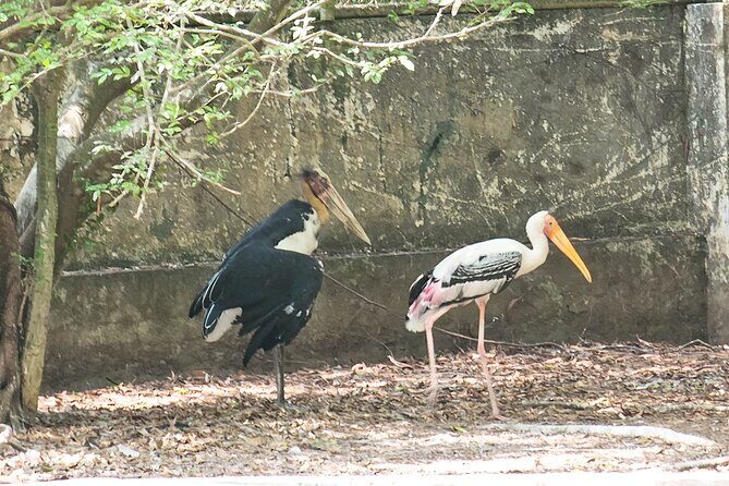 Private Full Day Mekong Delta Tour to Dong Thap Muoi Wetlands - Why This Tour Offers Great Value