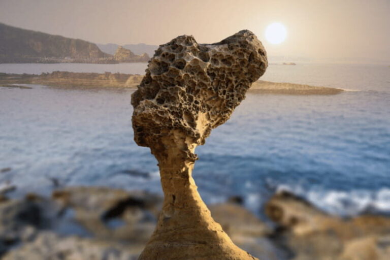 Private Full-Day Northern Taiwan Tour by Car from Taipei - Why This Tour Offers Great Value