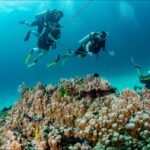 Private Full Day Racha Yai Scuba Diving Course from Phuket - Detailed Breakdown of the Itinerary