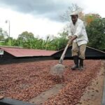 Private Full-Day Safari Adventure in Punta Cana with Pickup - Exploring the Full Itinerary