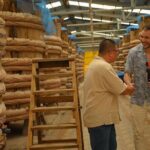 Private Full Day Southern Phu Quoc Island Tour - Start with Convenience: Pickup and Introduction