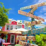 Private Full Day Tour in Nassau - What to Expect: Practical Details & Tips