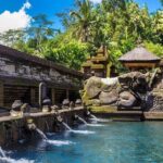Private Full Day Ubud Tour - Value and Practicalities