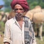 Private Golden Triangle Tour 5 Nights/6 Days - All Inclusive - What We Love About This Tour