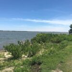 Private: Good Lagoon Exploration in Jaragua National Park - The Oviedo Lagoon: A Natural Wonder