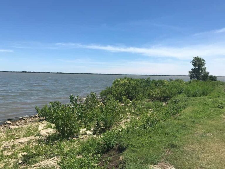 Private: Good Lagoon Exploration in Jaragua National Park - The Oviedo Lagoon: A Natural Wonder