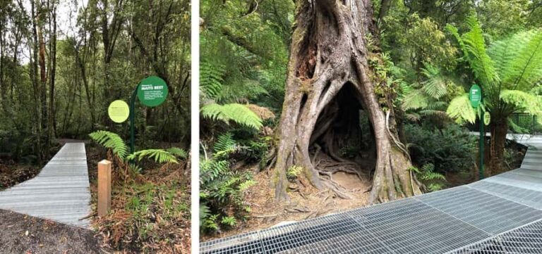 Private Great Ocean Road & 12 Apostles Experience - Who Is This Tour Best For?