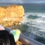 Private Great Ocean Road Local Experience - Why This Tour Excels