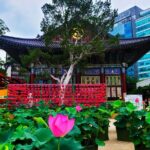 Private Group One Day Seoul Highlights - Authentic Experiences from Reviews