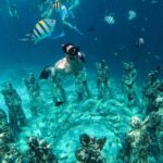 Private Group Snorkeling 3 Gili Islands from Gili Trawangan - An In-Depth Look at the Gili Islands Snorkeling Experience
