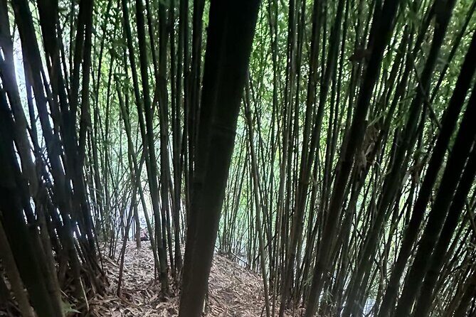 Private Guided Adventure in Nadi with Pick-up - Authentic Cultural Encounters and Food