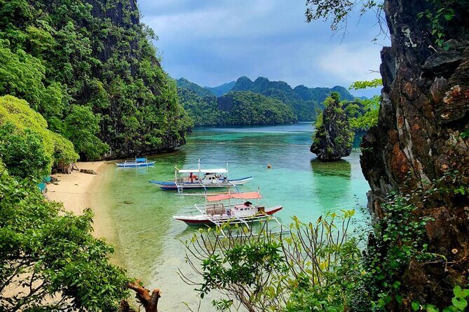 Private Guided Coron Island Eco-Adventure - Deep Dive into the Experience