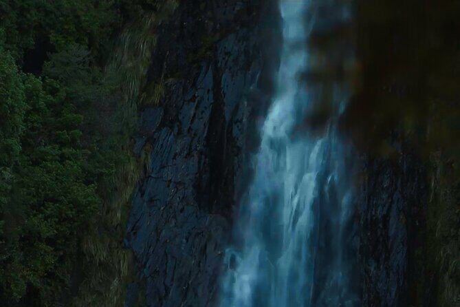 Private Guided Milford Sound Tour ex Queenstown - Glimpses of Fiordland’s Natural Wonders