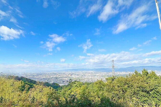 Private Guided Mt. Kunimi Trek - The Detailed Experience: What to Expect on Your Visit to Mt. Kunimi