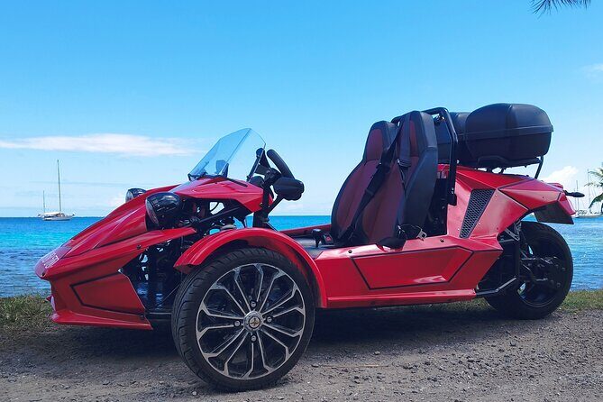 Private Guided Tour around the Moorea Island - The Experience of Driving & Guided Commentary