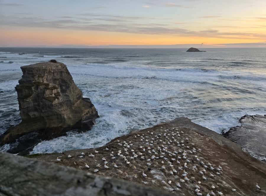 [PRIVATE] Haka to Wine West Coast Journey - Who Would Love This Tour?