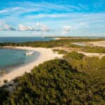 Private Half Day Afternoon Snorkel and Cruise on Serendipity - An In-Depth Look at the Tour Experience