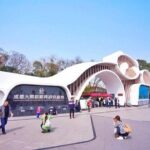 Private Half-Day Tour Chengdu Panda Breeding Center - Detailed Tour Breakdown