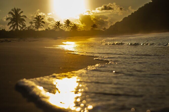 Private Half Day Tour in St. Thomas Virgin Islands with Guide - Final Words