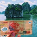Private Halong Bay Day Tour: Transfer, Lunch, Guide, Entrance Fee - Exploring the Itinerary in Detail