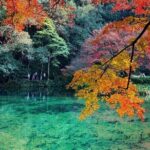 Private Hangzhou Car and Walking Tour - Practical Details and What to Expect