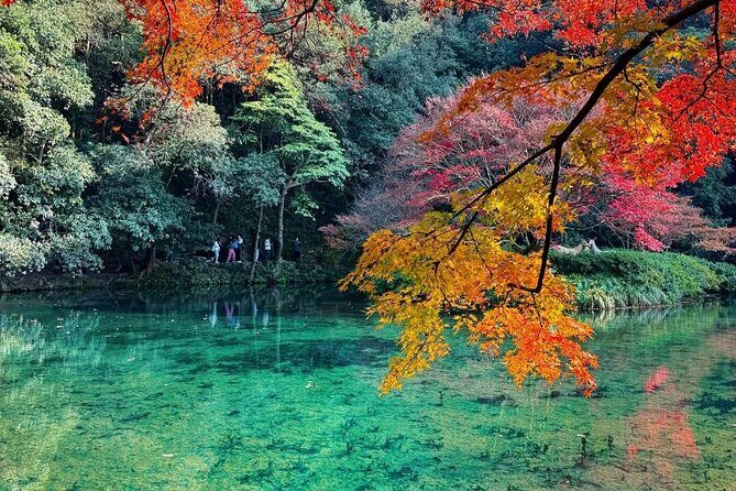 Private Hangzhou Car and Walking Tour - Practical Details and What to Expect