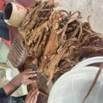 Private Higuey City Tour - Who Would Enjoy This Tour?