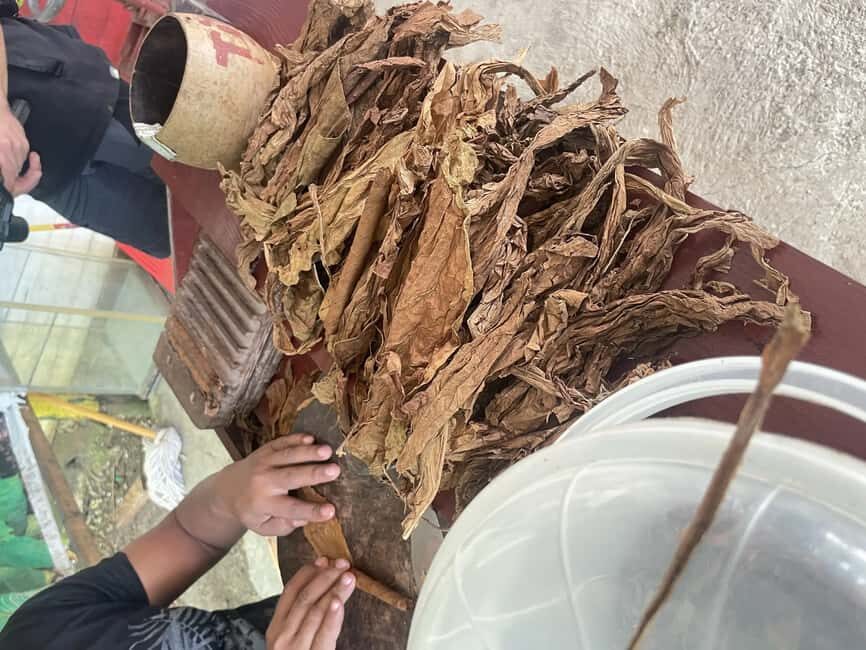 Private Higuey City Tour - Who Would Enjoy This Tour?