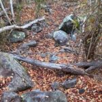 Private Hiking Tour in British Virgin Island with the Best 360 View - Transportation, Duration, and Booking