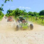Private Historical Higüey Discovery Day Trip from Punta Cana - Refreshing River Dip and Authentic Dominican Cuisine