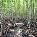 Private Ho Chi Minh City Highlights and Nature Escape Tour - Who Is This Tour Best Suited For?