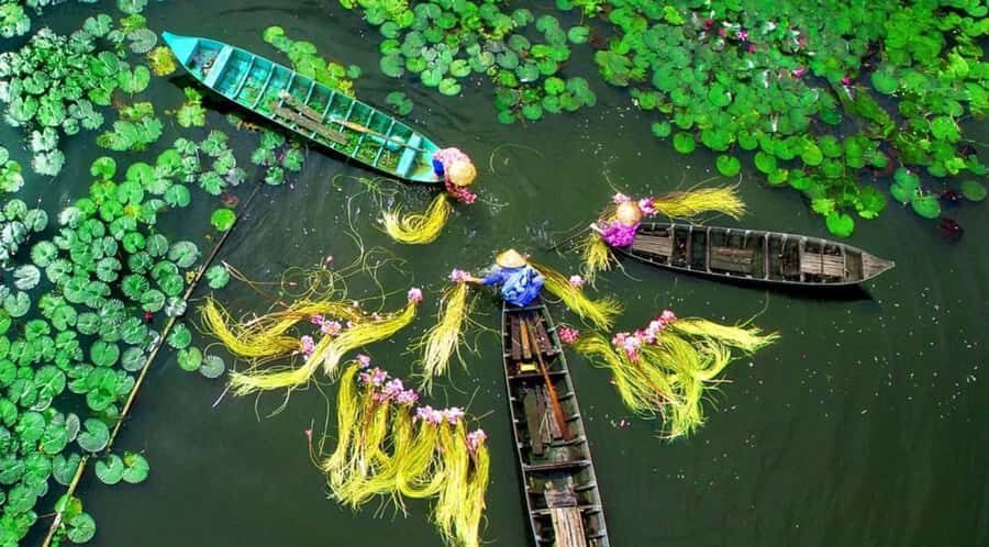 [Private] Ho Chi Minh City & Mekong Delta: 5-Day Guided Tour - Who Will Love This Tour?