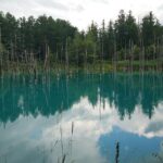 Private Hokkaido Guided 5 Day Tour with Transportation - Final Thoughts