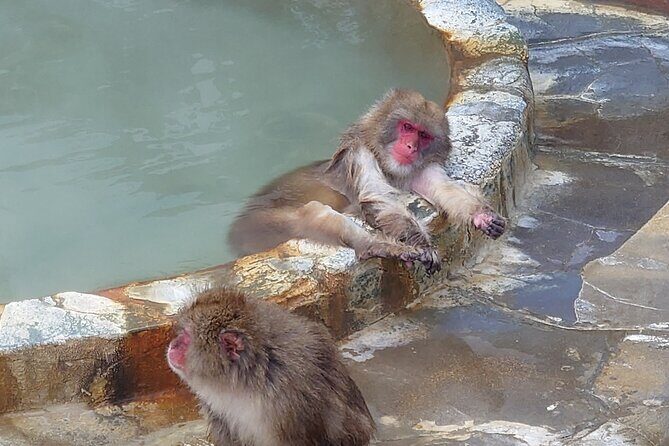 Private Hokkaido Guided 5 Day Tour with Transportation - Who Will Love This Tour?