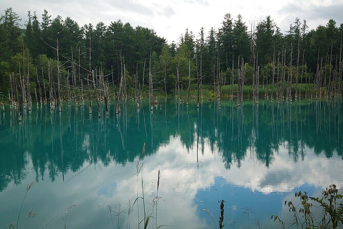 Private Hokkaido Guided 5 Day Tour with Transportation - Final Thoughts