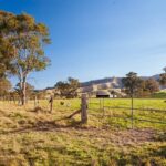 Private Hunter Valley Wine Tour from Sydney Tasting Day Trip - The Itinerary Breakdown: What to Expect
