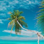 Private: Isla Saona VIP Escape Luxury Beach & Speedboat Tour - Exploring the Itinerary: From Speedboats to Serenity