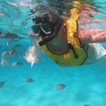 Private Island Kayak and Snorkel Tour in Vieques - Why This Tour Offers Great Value