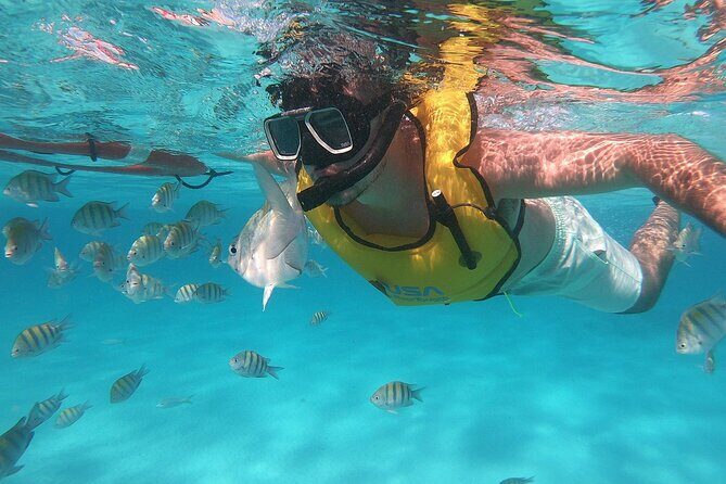 Private Island Kayak and Snorkel Tour in Vieques - Why This Tour Offers Great Value