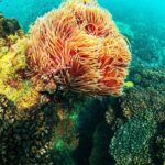 Private Island Tour by Canoe and Cable Car - What Reviewers Say