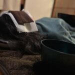 Private Japanese Sound Bath in a Traditional Tatami Room - Who Should Consider This Experience?