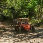 Private: Jungle Buggy Zipline Combo Adventure at La Hacienda - What We Think About the Value